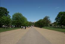 Take a walk in Hyde Park